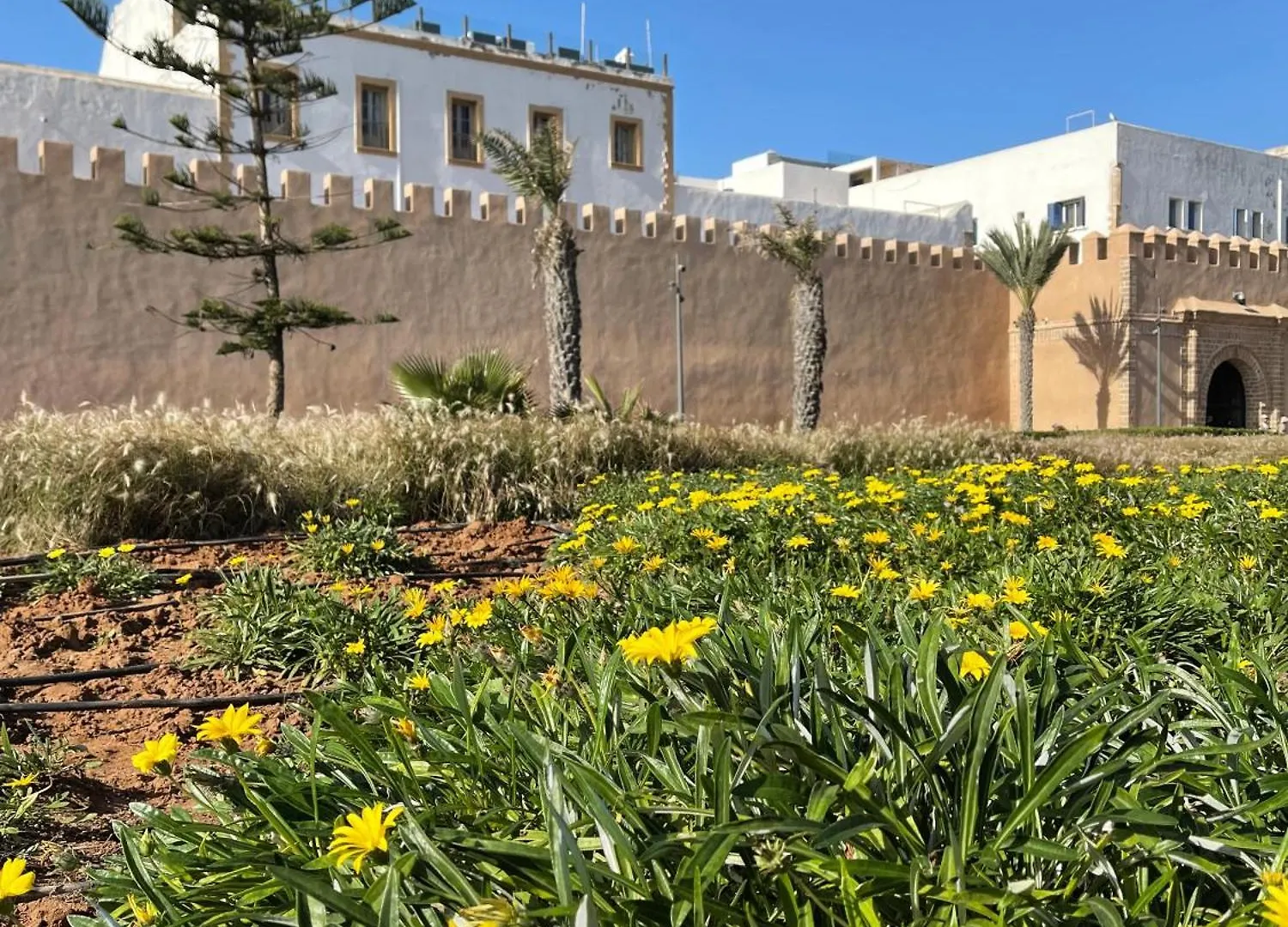 דירה Joli Appartement A אסאוירה