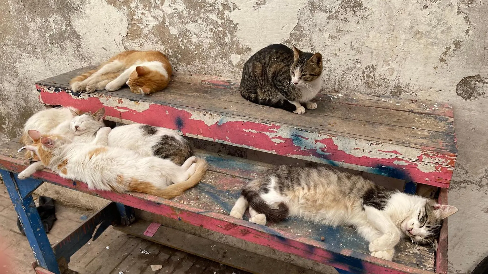 Joli Appartement A אסאוירה