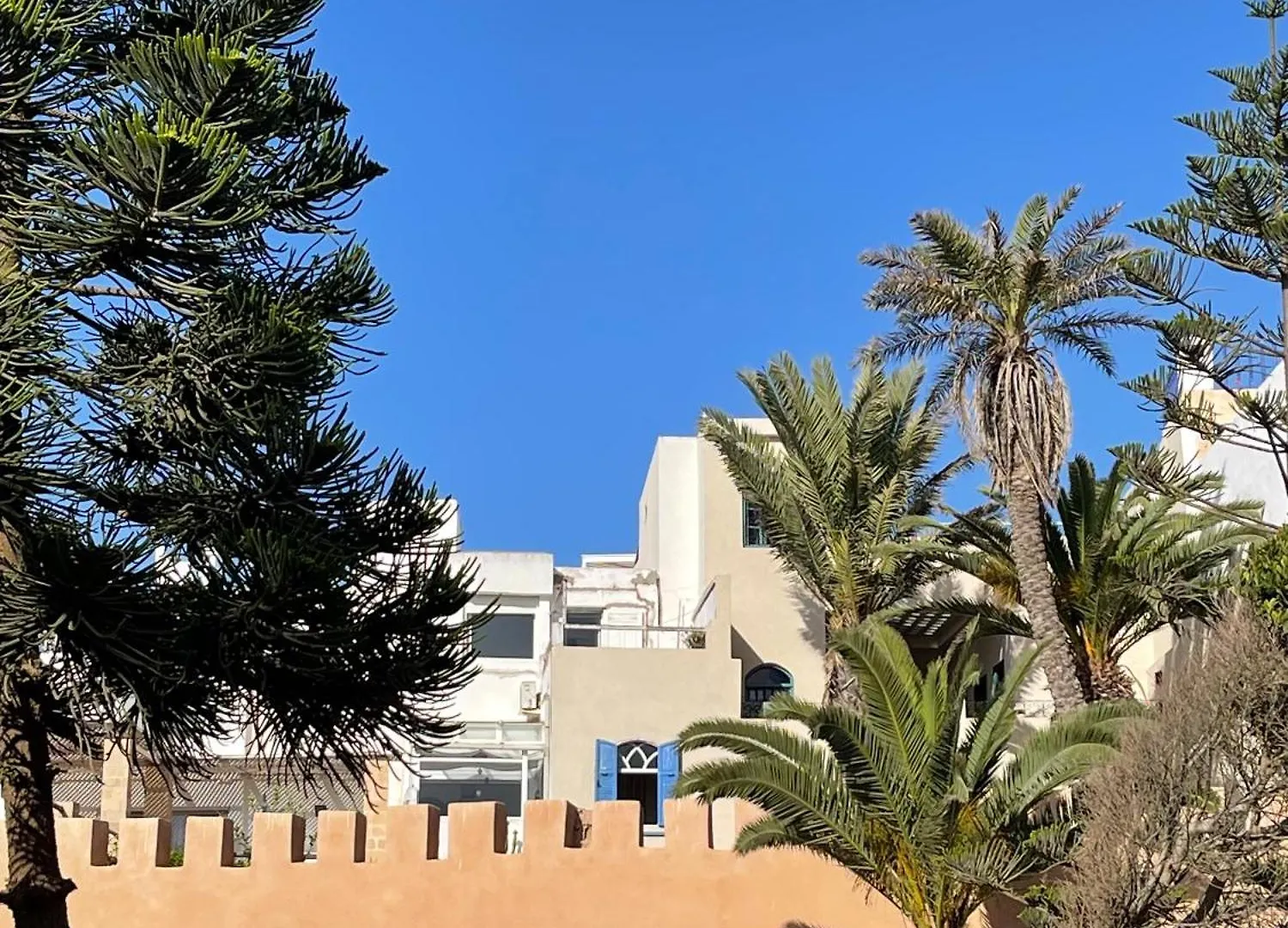 Joli Appartement A אסאוירה מרוקו